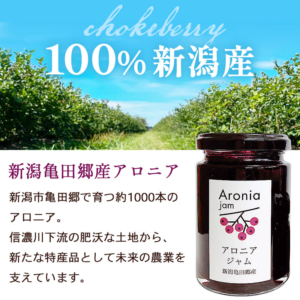 アロニアジャム 140g×1個