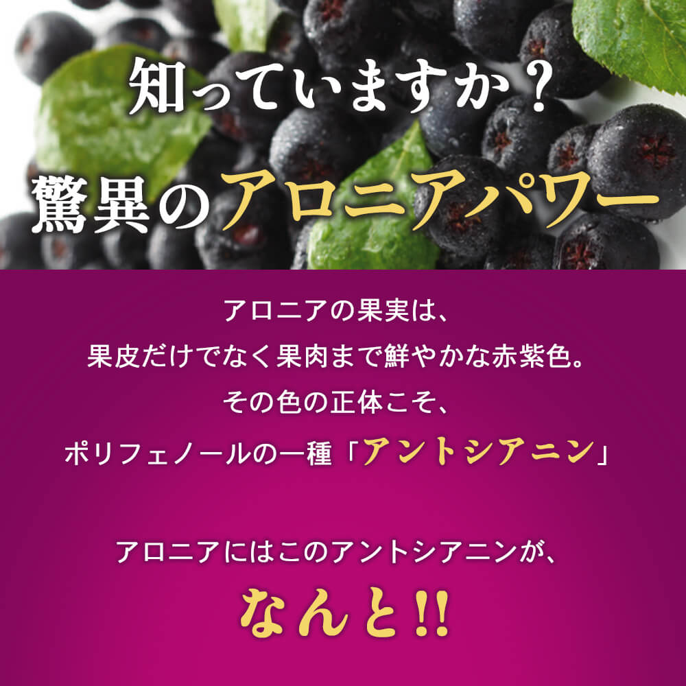 アロニアジャム 140g×1個