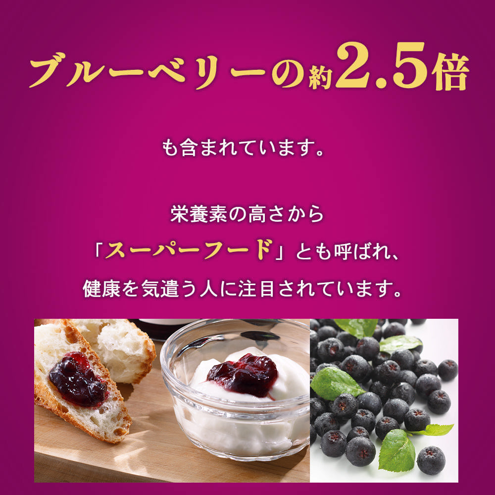 冷凍アロニア 500g×1袋 産地直送(代引き不可)