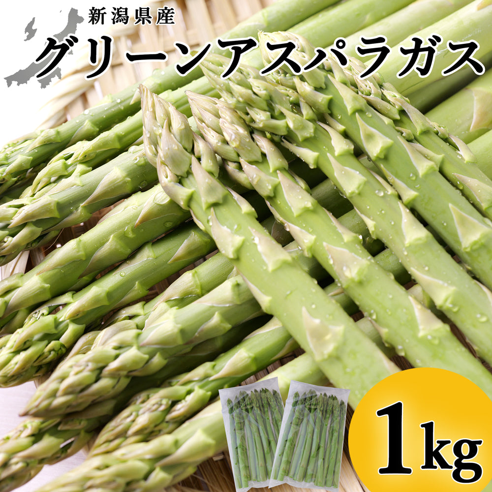 新潟県産 アスパラガス 500g×2袋 約1kg