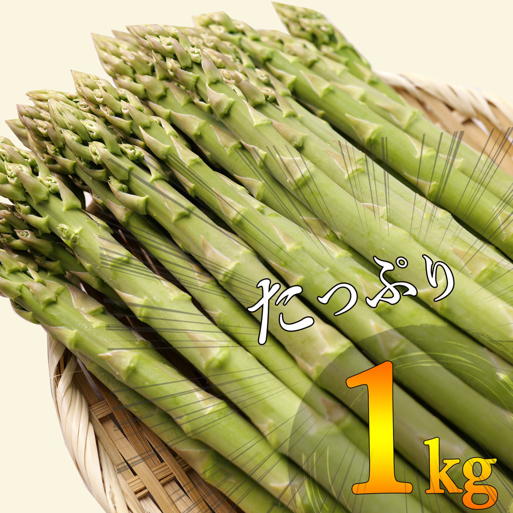 新潟県産 アスパラガス 500g×2袋 約1kg