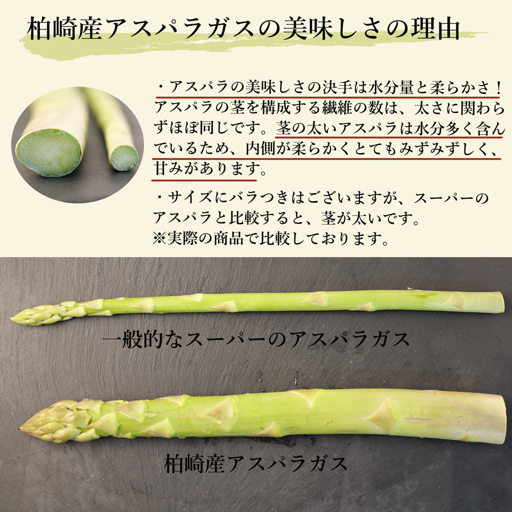 新潟県産 アスパラガス 500g×2袋 約1kg