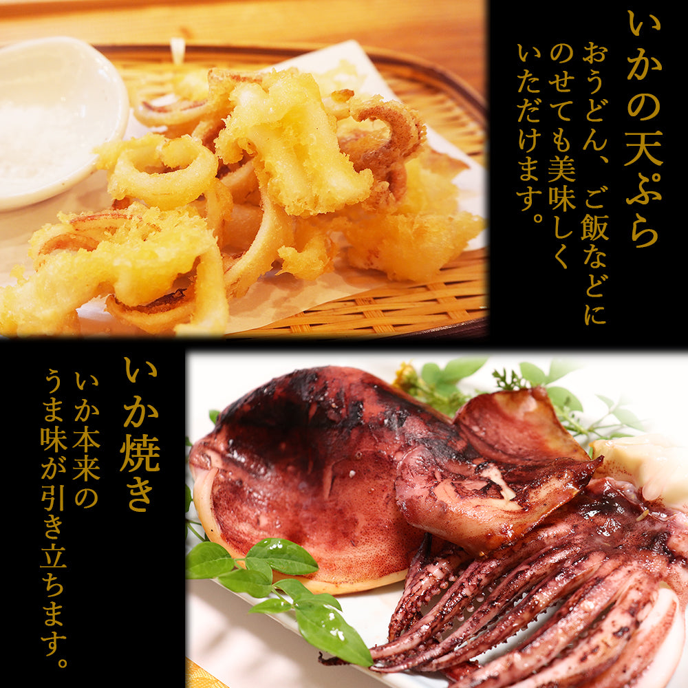 佐渡の味 生干しいか 2枚入り 大上塚本商店