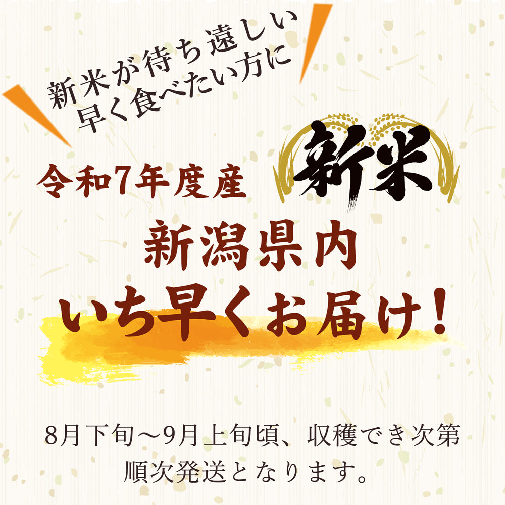 予約 令和7年度産 新米 葉月みのり 5kg 大日