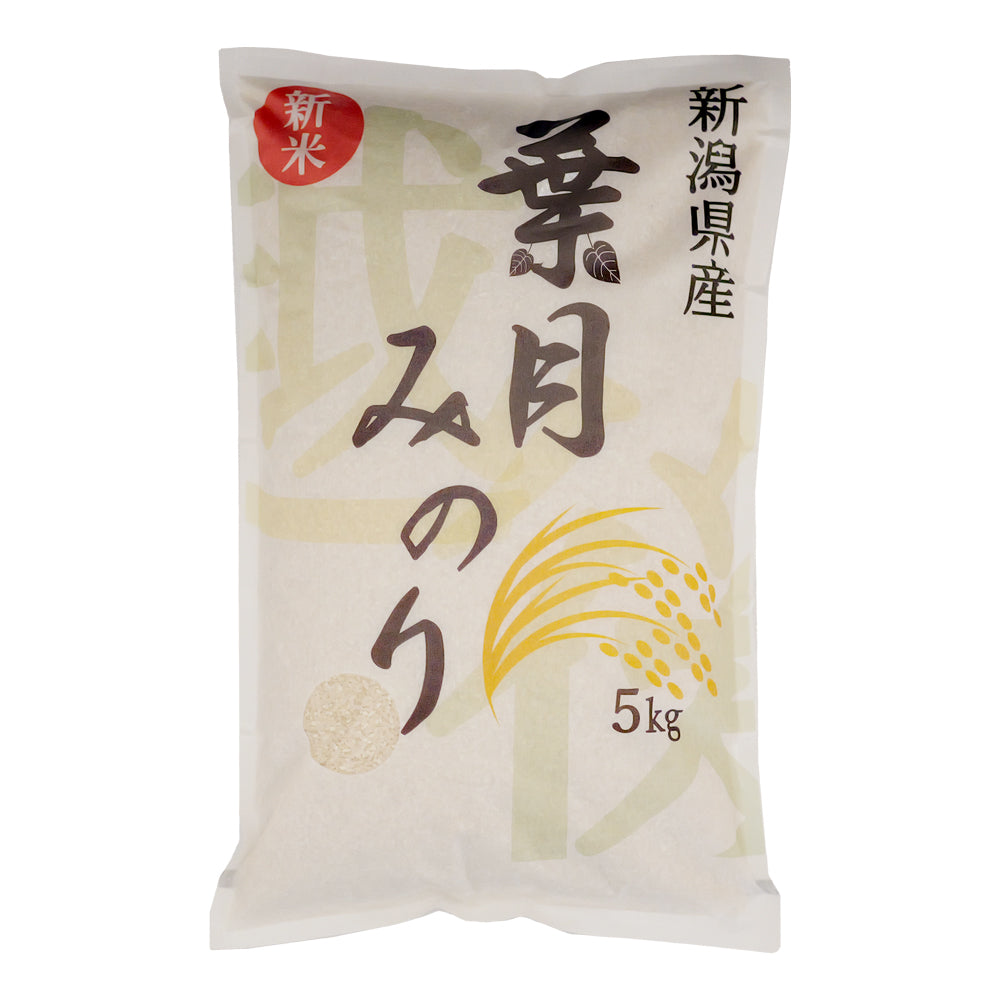 予約 令和7年度産 新米 葉月みのり 5kg 大日