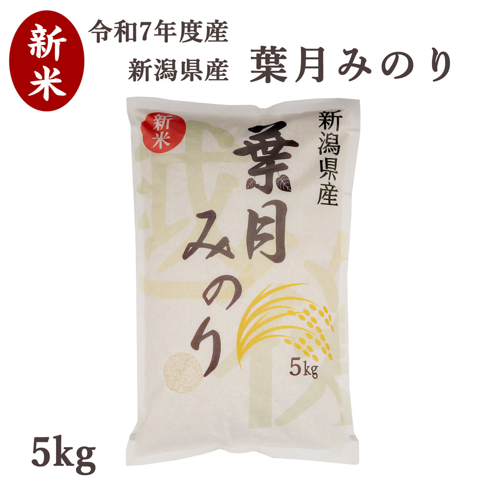 予約 令和7年度産 新米 葉月みのり 5kg 大日