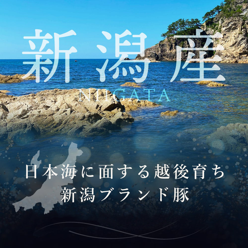 岩船豚 ローススライス 150g×5枚 自宅用