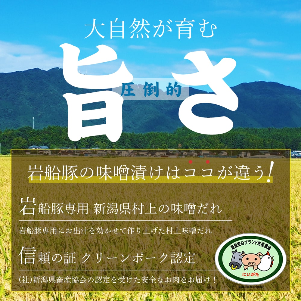 岩船豚の味噌漬けセット (ロース2袋・バラ1袋)