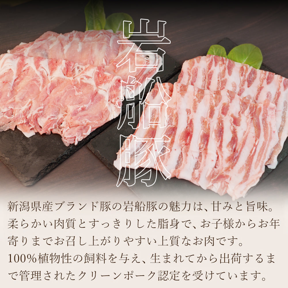 岩船豚しゃぶしゃぶセット ロース 250g×6袋 バラ 250g×6袋 計3kg