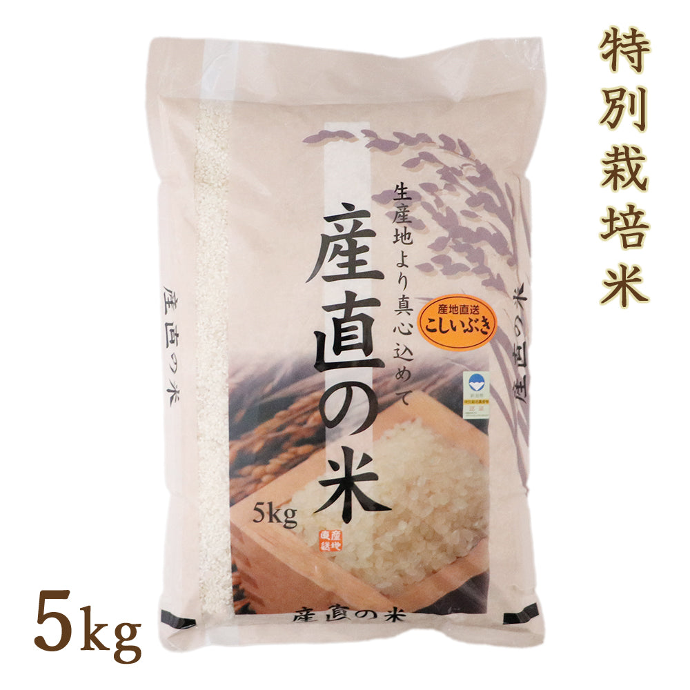 令和7年度産 新潟県産 特別栽培米 こしいぶき 5kg ファーミングスタッフ