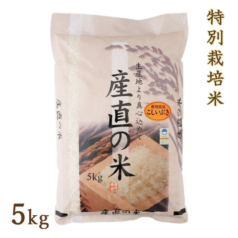 令和5年度産 新潟県産 特別栽培米 こしいぶき 5kg ファーミングスタッフ