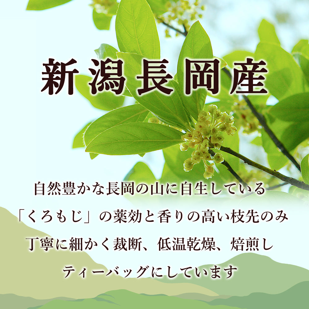 くろもじ茶 3g×6バッグ×1袋 メール便配送