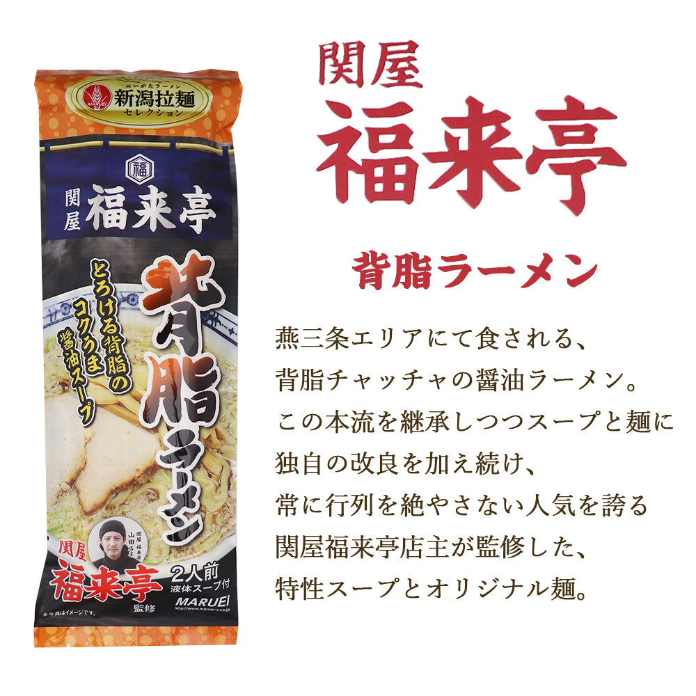 新潟 拉麺セレクション 3種セット 6食入り 丸榮製粉