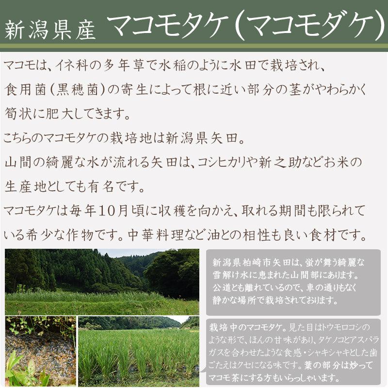 乾燥マコモタケ 15g×2袋 大日