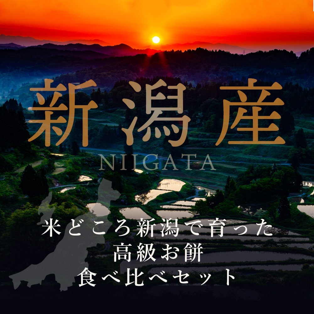 高級お餅食べ比べセット 魚沼産こがね餅×1 十日町黄金もち×1 紅穂糯×1