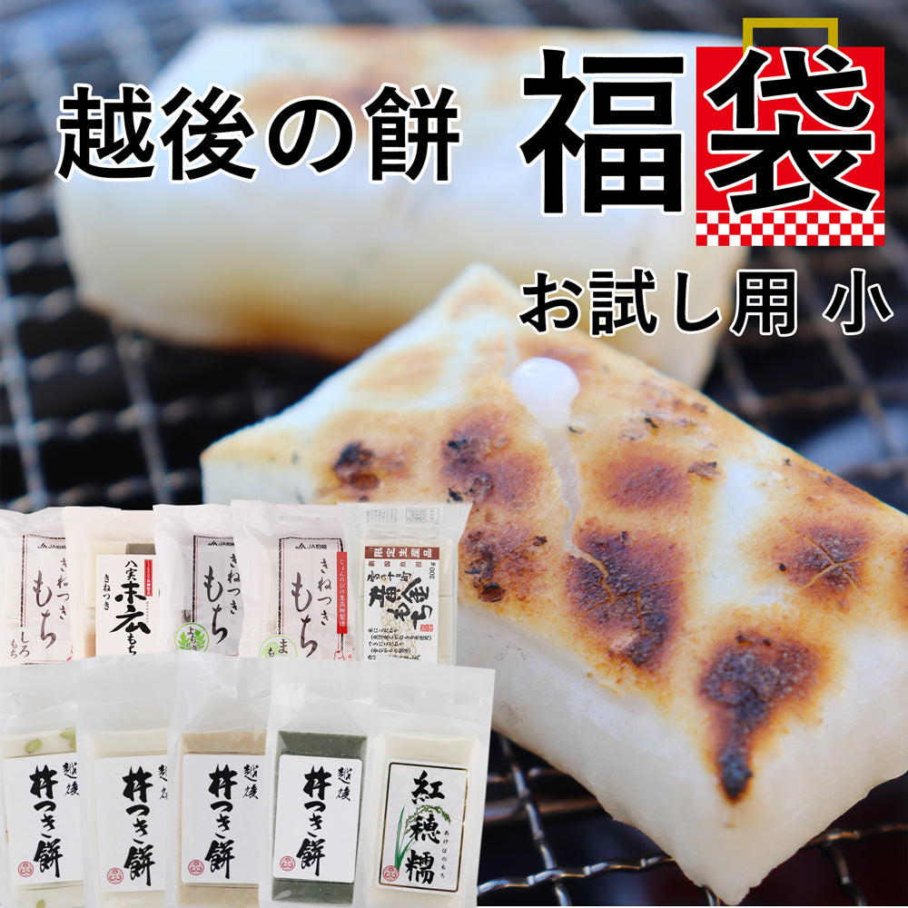 越後のお餅福袋 約10種類から3点 約1kg