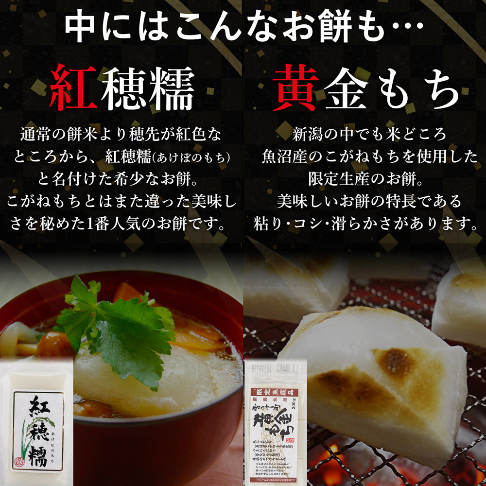 越後のお餅福袋 約10種類から3点 約1kg