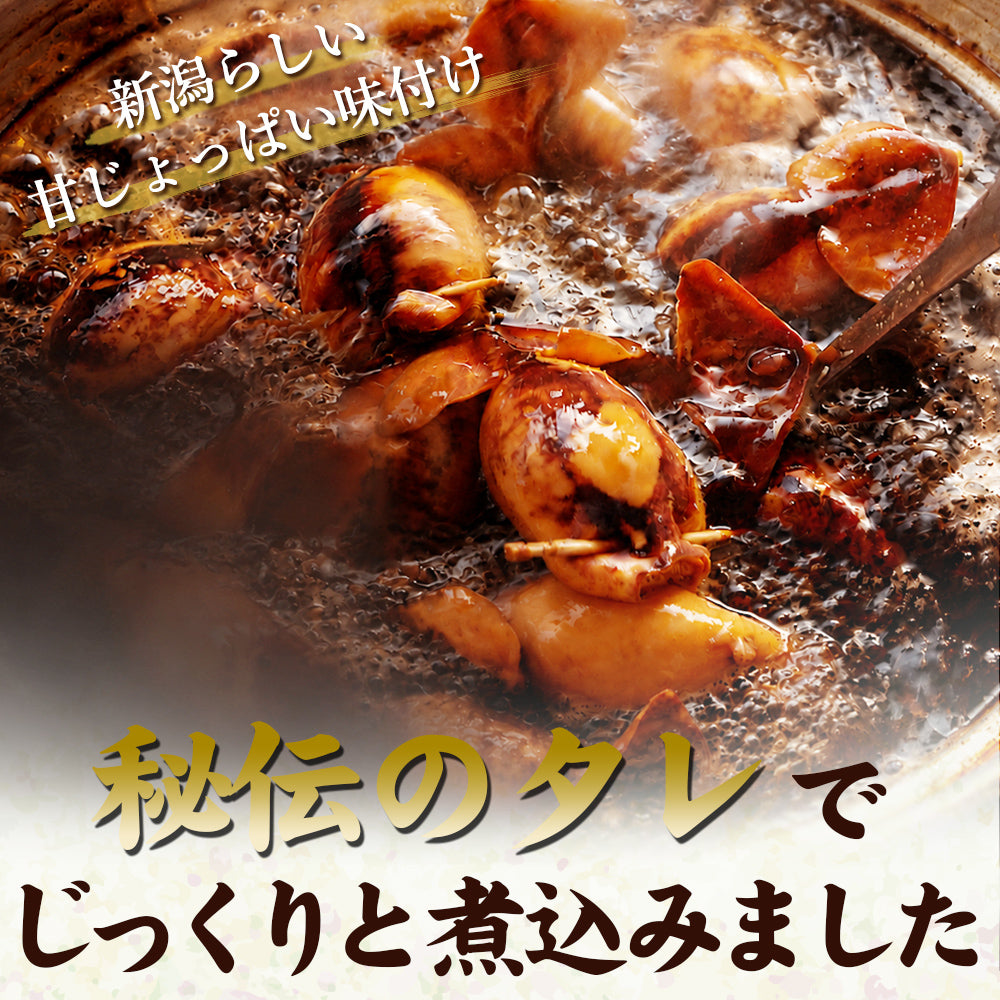 新潟いかめし 2本入り×2袋 産地直送(代引き不可)