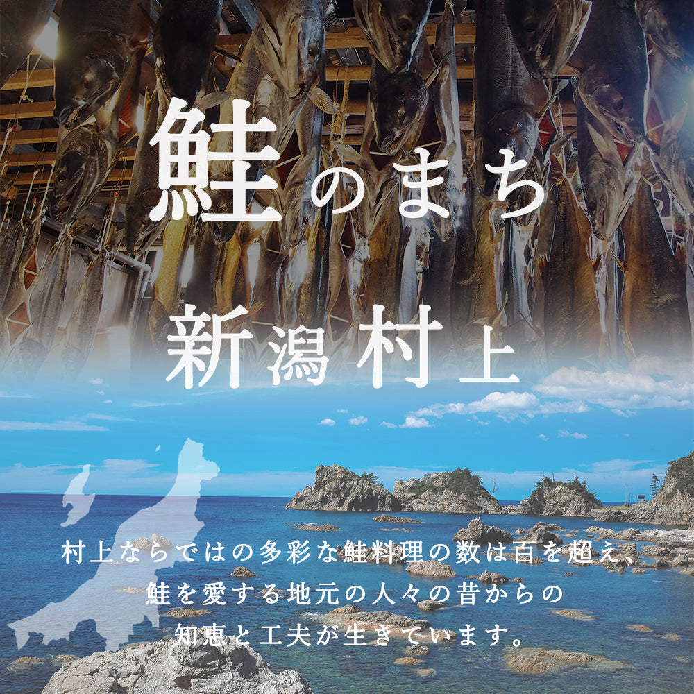 村上名産 塩引き 銀鮭 3切×2袋 極厚切り 化粧箱入