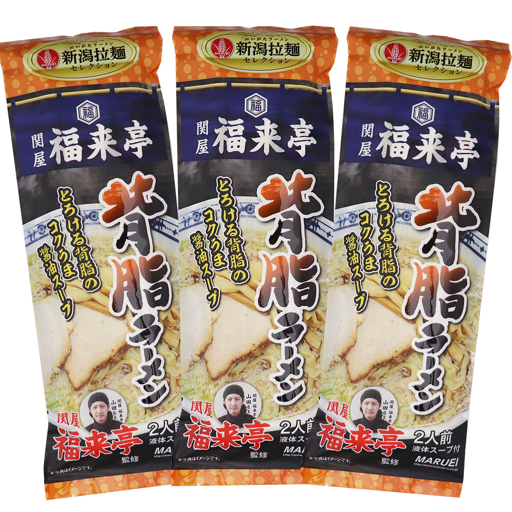 関屋福来亭監修 背脂ラーメン 2食入×3袋 メール便配送