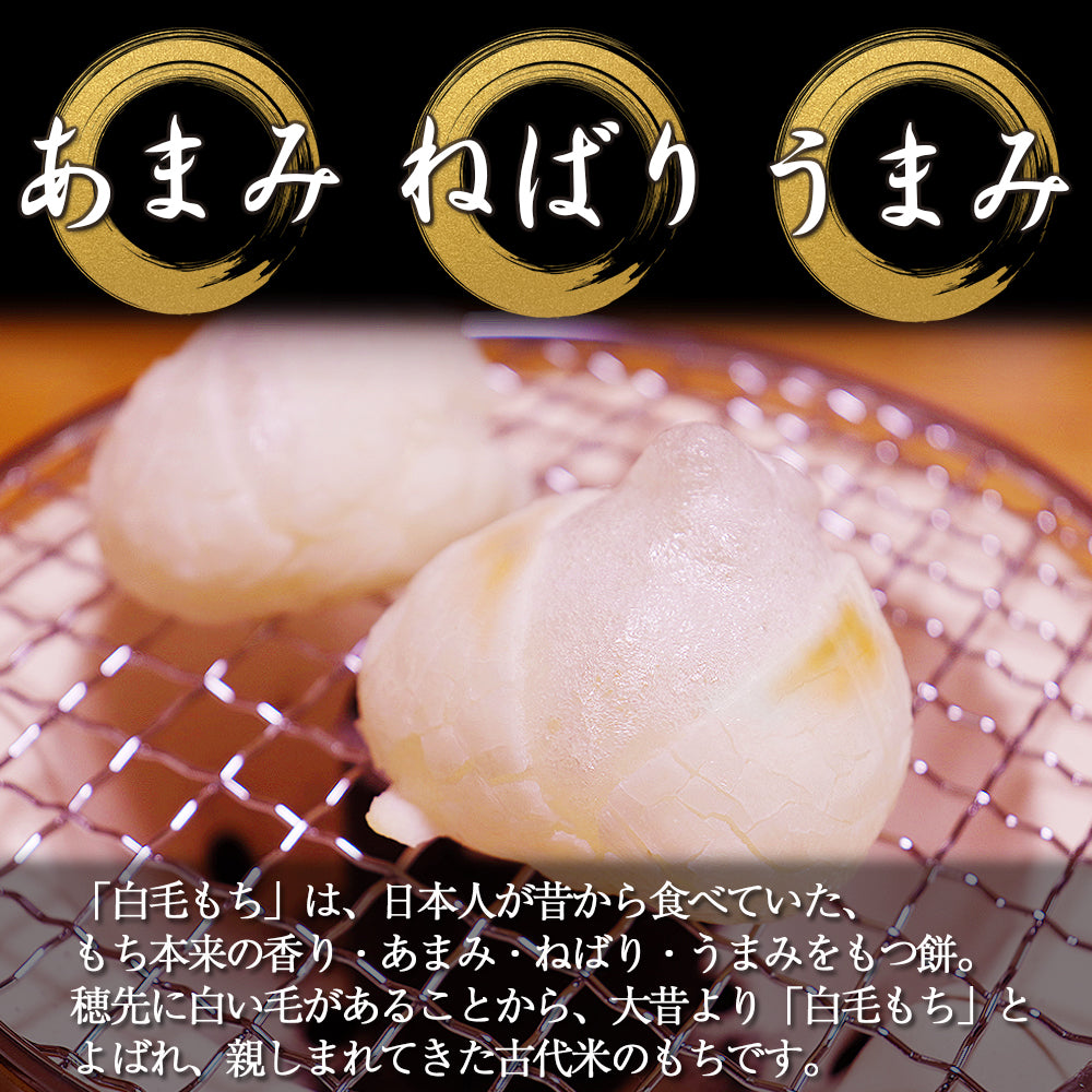 白毛丸餅 420g×2袋 信州上伊那農家直伝