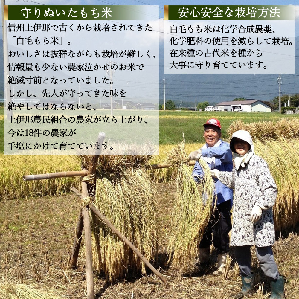 白毛丸餅 420g×2袋 信州上伊那農家直伝