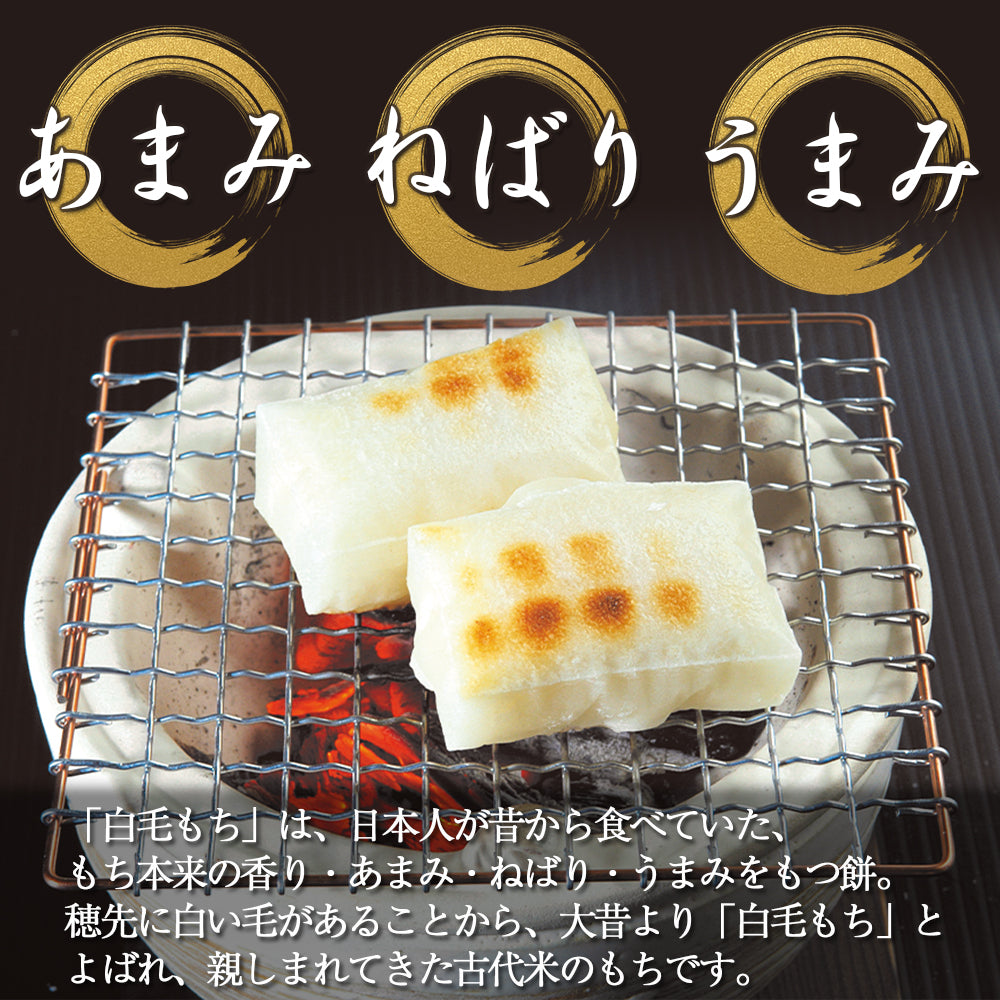 白毛餅 350g×2袋 化粧箱入り 信州上伊那農家直伝