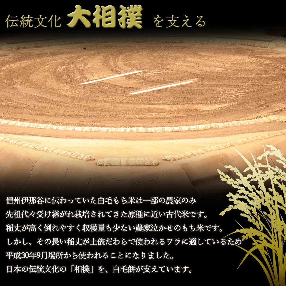 白毛丸餅 420g×4袋 信州上伊那農家直伝