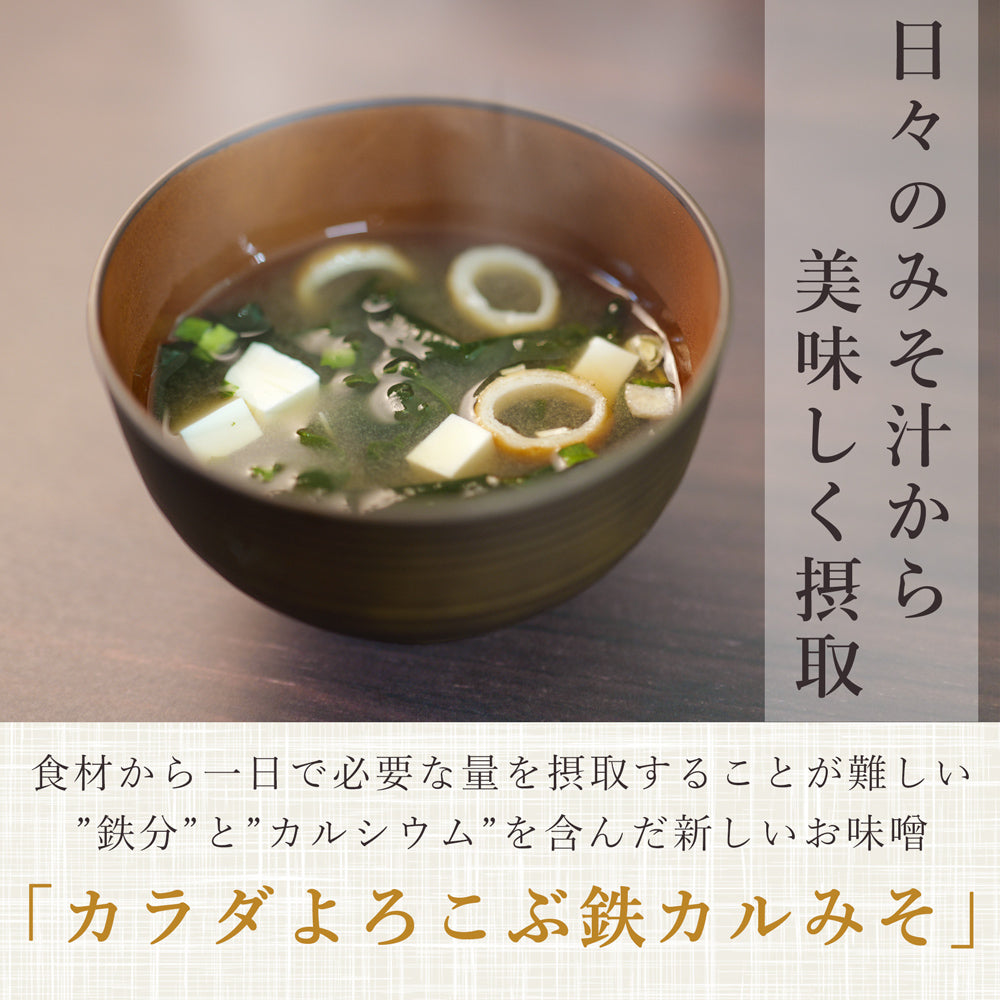 カラダよろこぶ 鉄カルみそ 700g×10個 山崎醸造