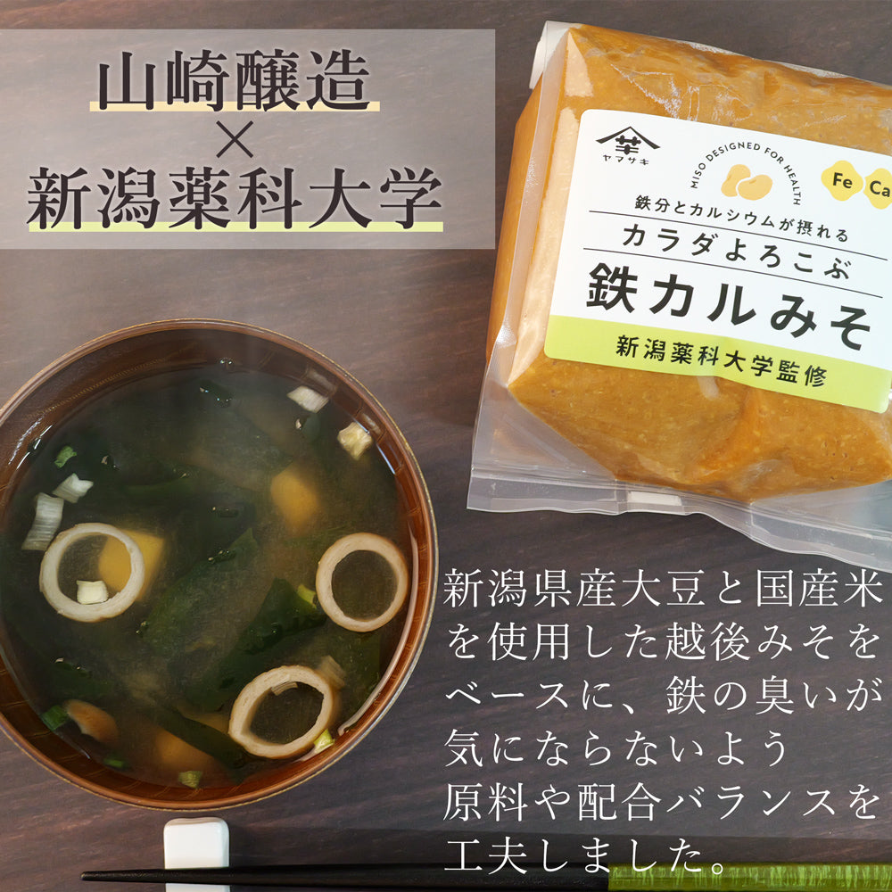 カラダよろこぶ 鉄カルみそ 700g×10個 山崎醸造