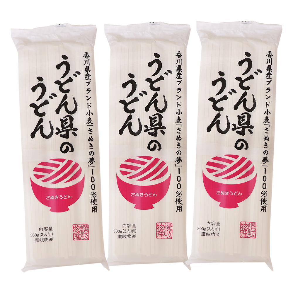 うどん県のうどん 300g×3袋 讃岐うどん メール便配送