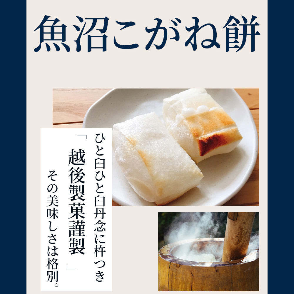 魚沼産こがね餅 500g×10袋 越後製菓