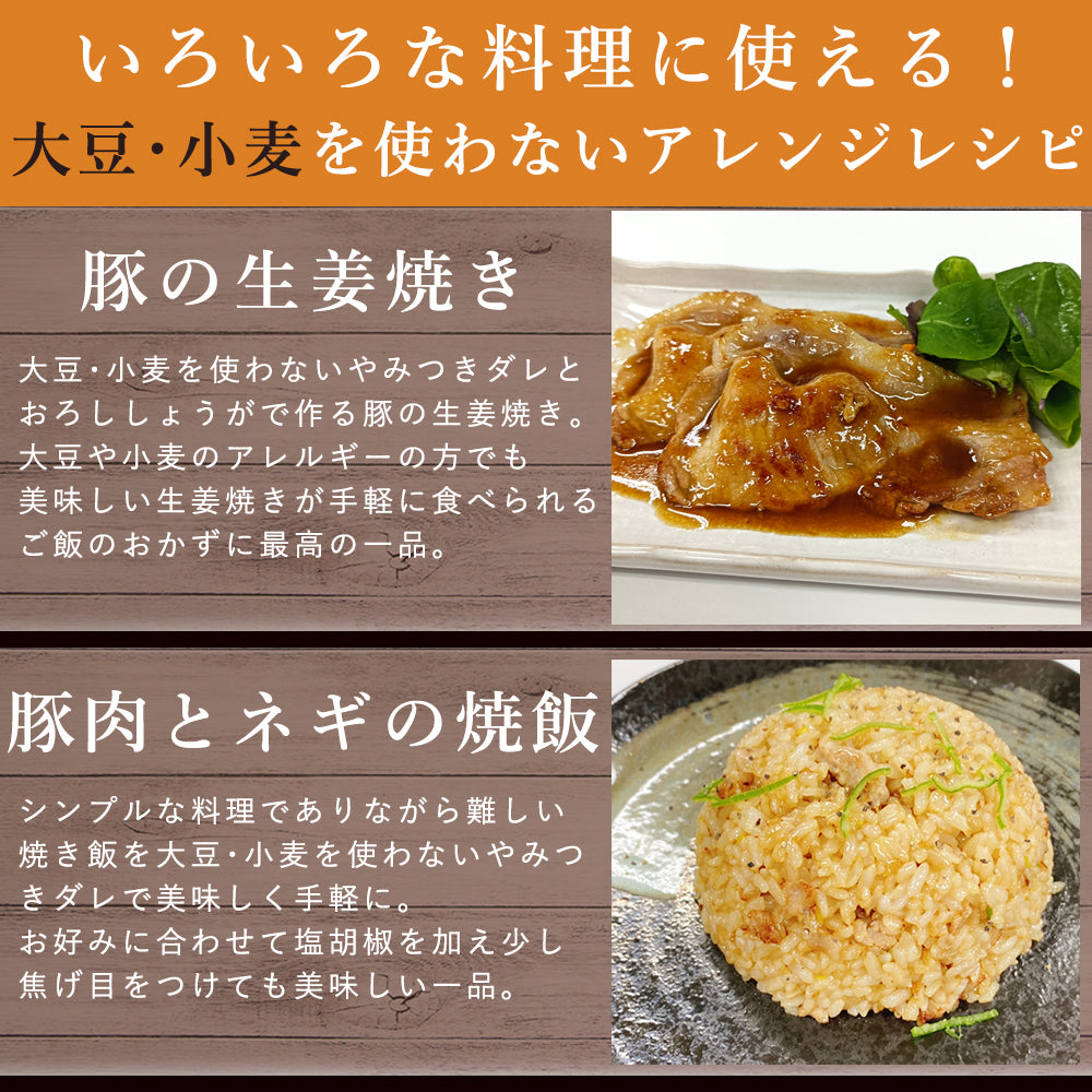 焼肉のたれ 250g×1袋 アレルギー物質28品目不使用 山崎醸造 メール便配送