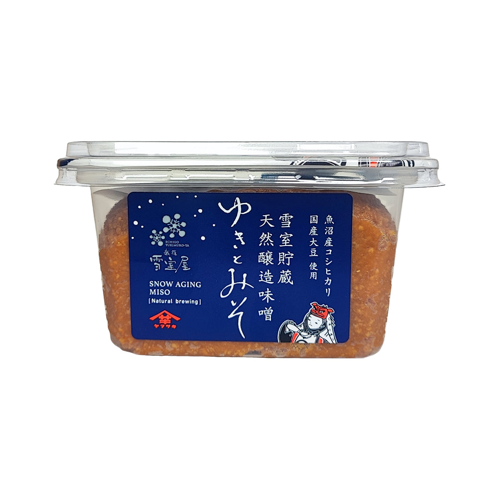雪室貯蔵味噌 ゆきとみそ 300g×10個 山崎醸造