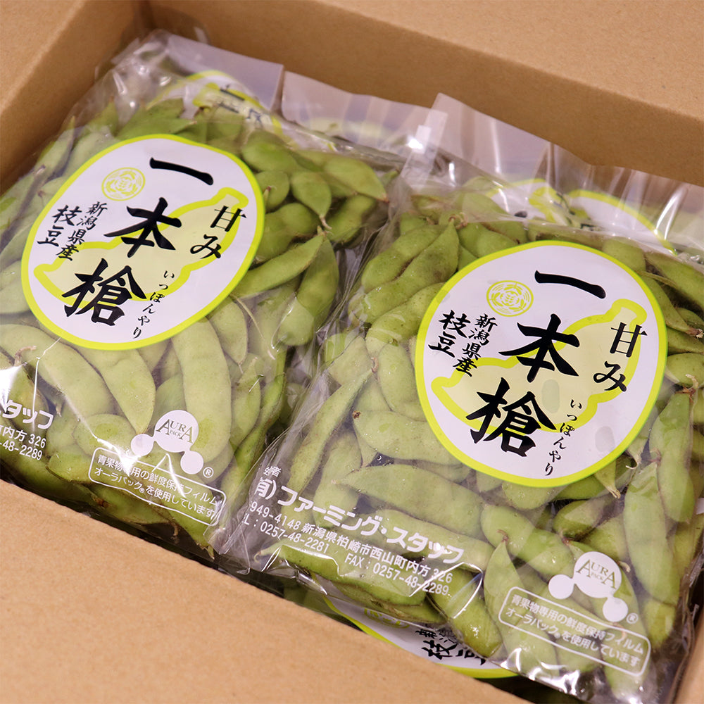 予約 新潟県 西山産 茶豆 1.5Kg