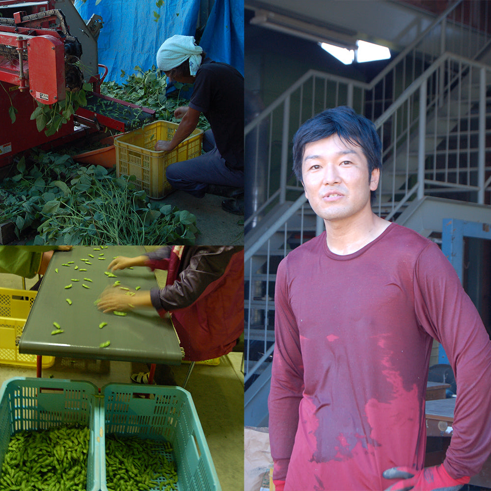 予約 新潟県 西山産 茶豆 1.5Kg