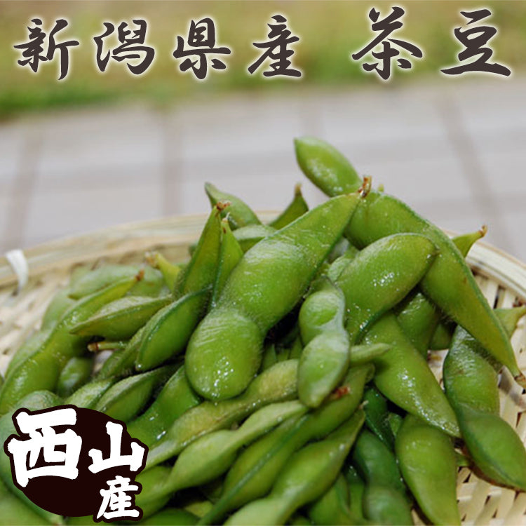 予約 新潟県 西山産 茶豆 1.5Kg