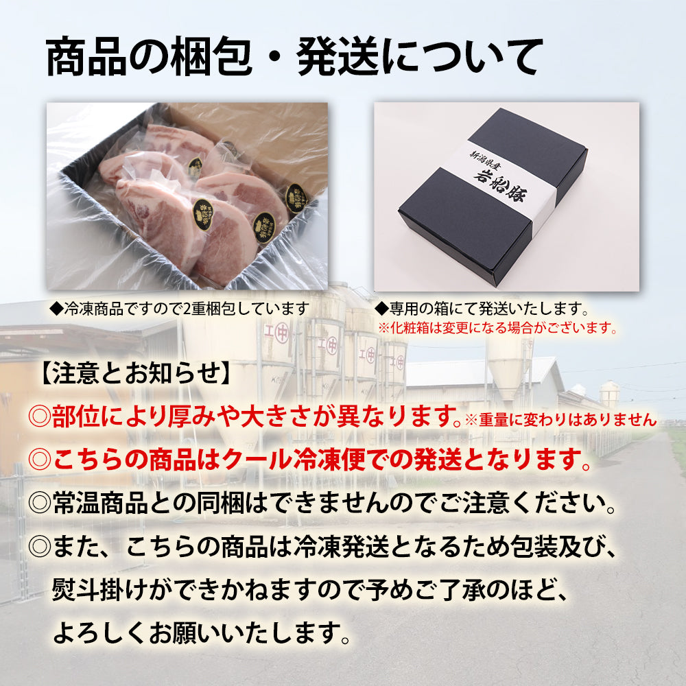 岩船豚 ローススライス 150g×5枚 ギフト