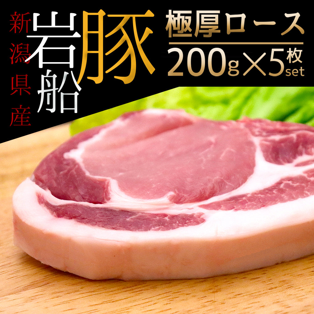 岩船豚 ローススライス 200g×5枚 ギフト