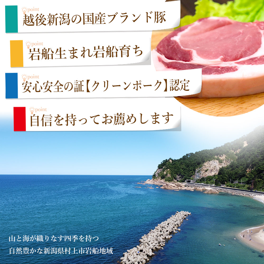 岩船豚 ローススライス 200g×5枚 ギフト