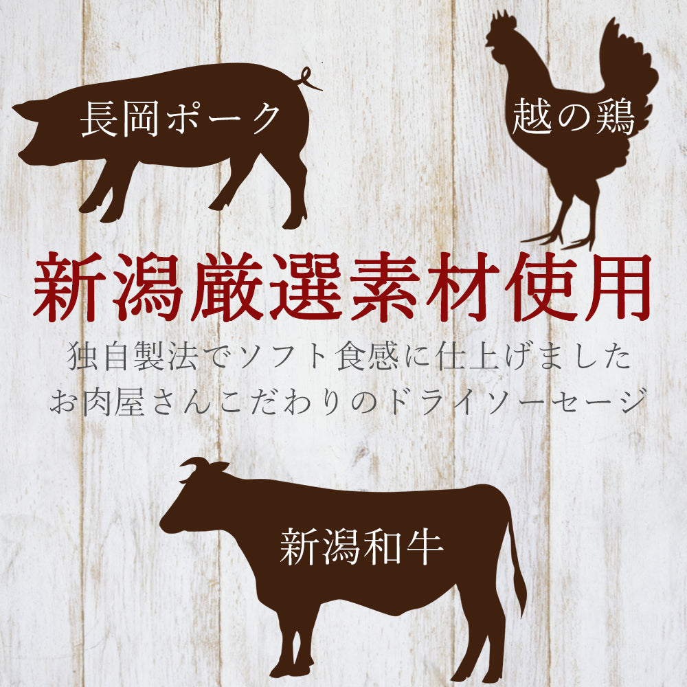 越後ドライソーセージ 110g メール便配送