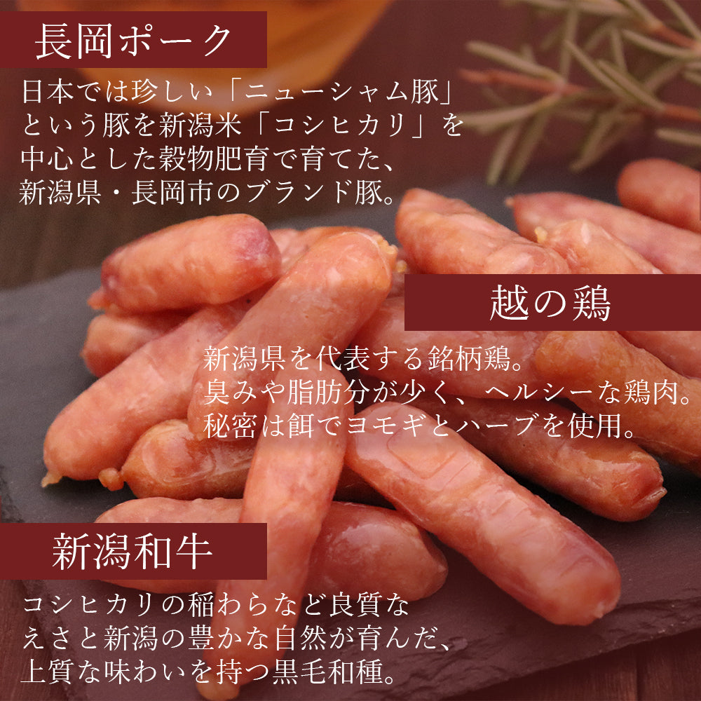 越後ドライソーセージ 110g メール便配送