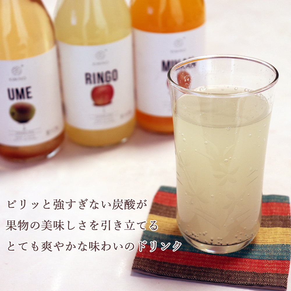 ゆずとうめのスパークリングジュース6本セット 各味3本 キミノドリンク