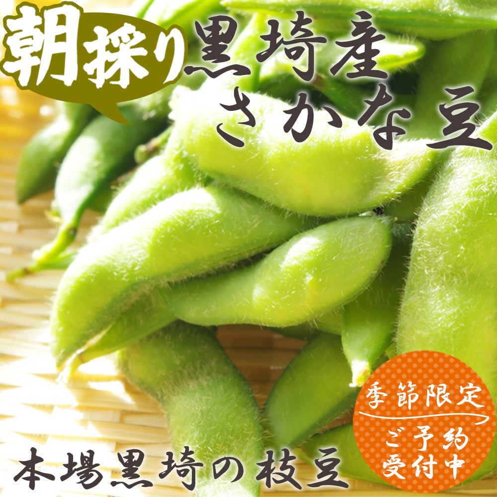 黒埼産さかな豆 1.5Kg 9月下旬~10月上旬頃発送予定