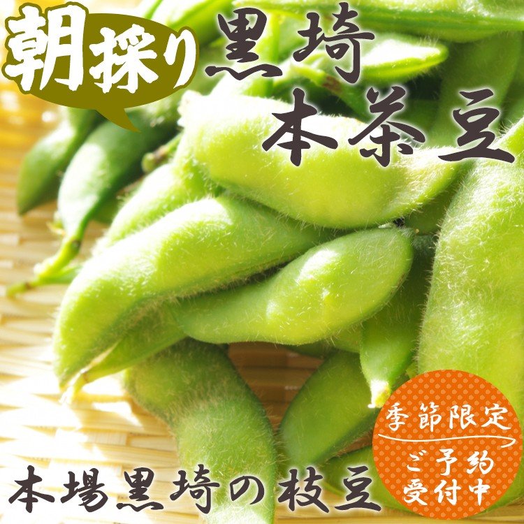 黒埼産 本茶豆 1.5Kg 黒埼茶豆 予約 7月下旬~8月上旬発送予定
