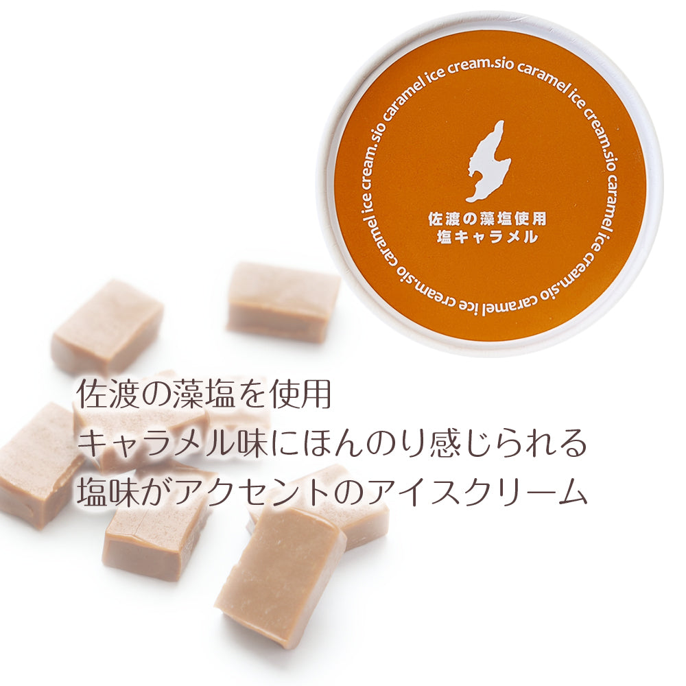 新潟ご当地アイス アイスアソート8個 4種×各味2個 スイーツセレクション