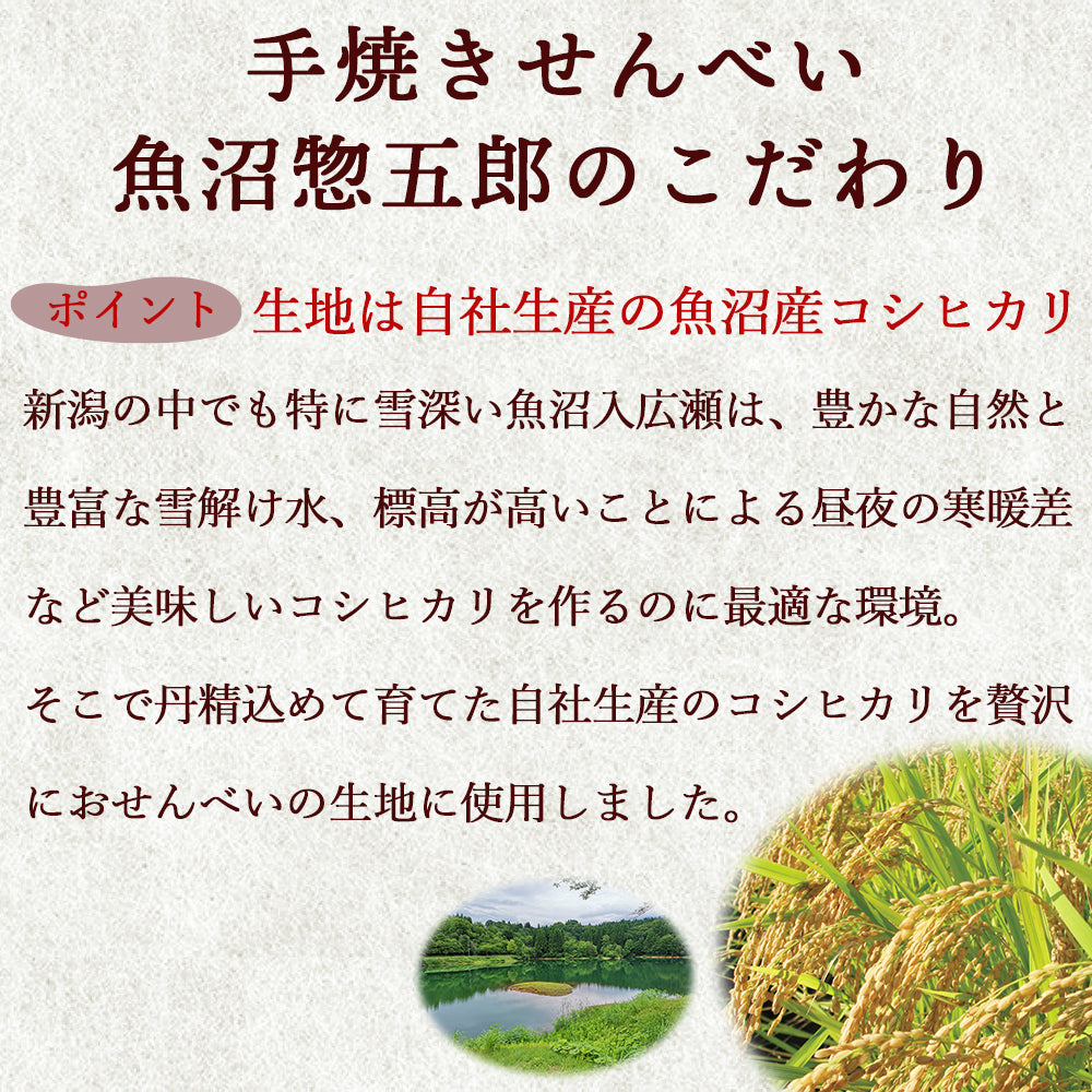 手焼きせんべい 魚沼惣五郎 こって辛 5枚入×3袋