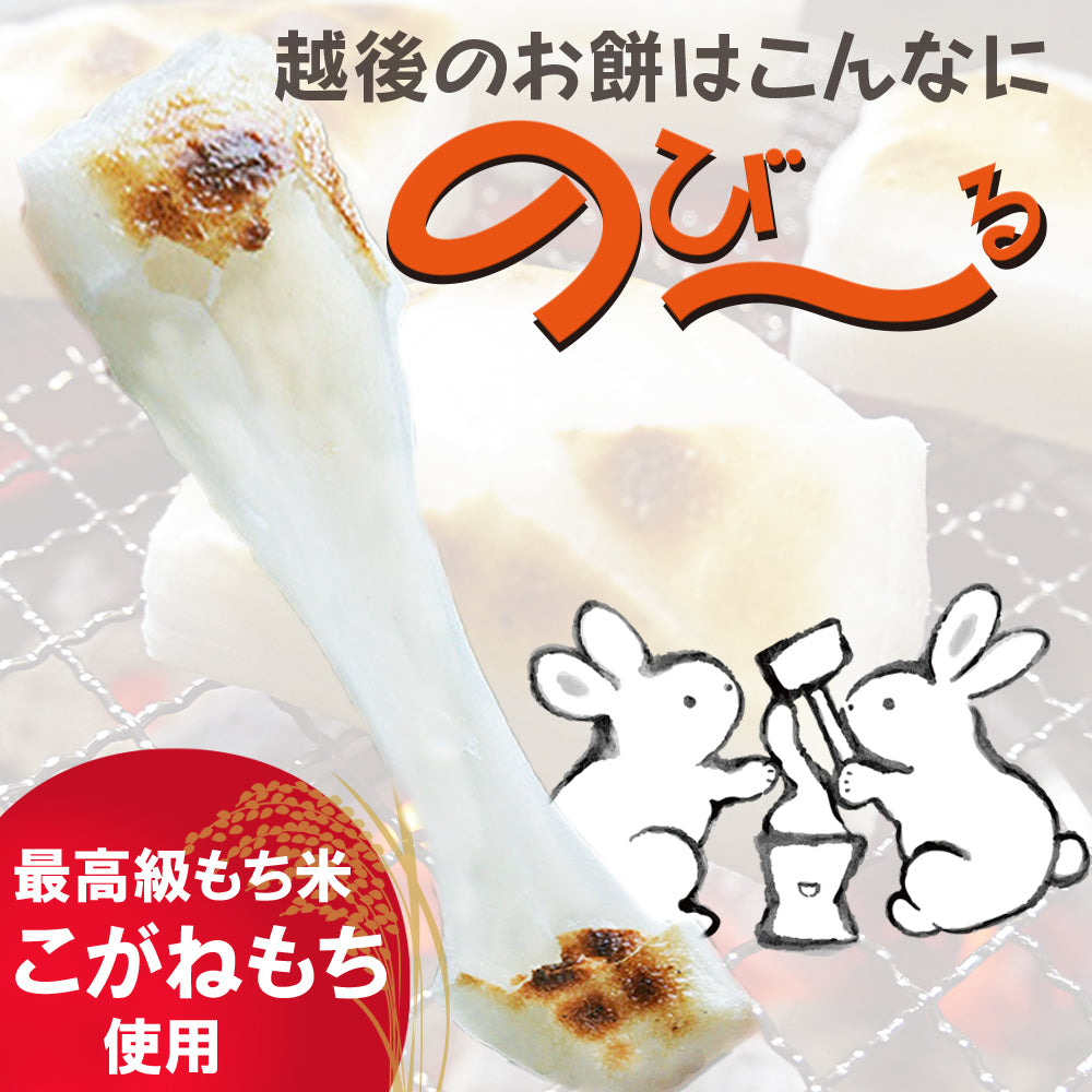 極上あんこと魚沼産黄金もちセット 黄金もち300g×4袋 こしあん・小倉あん 各1袋