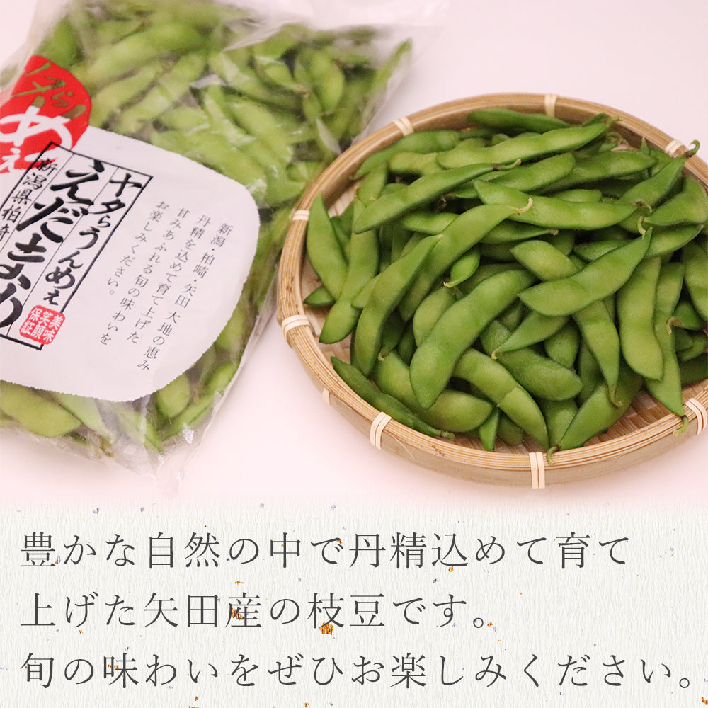 新潟県 矢田産 枝豆 1.5Kg (500g×3袋)