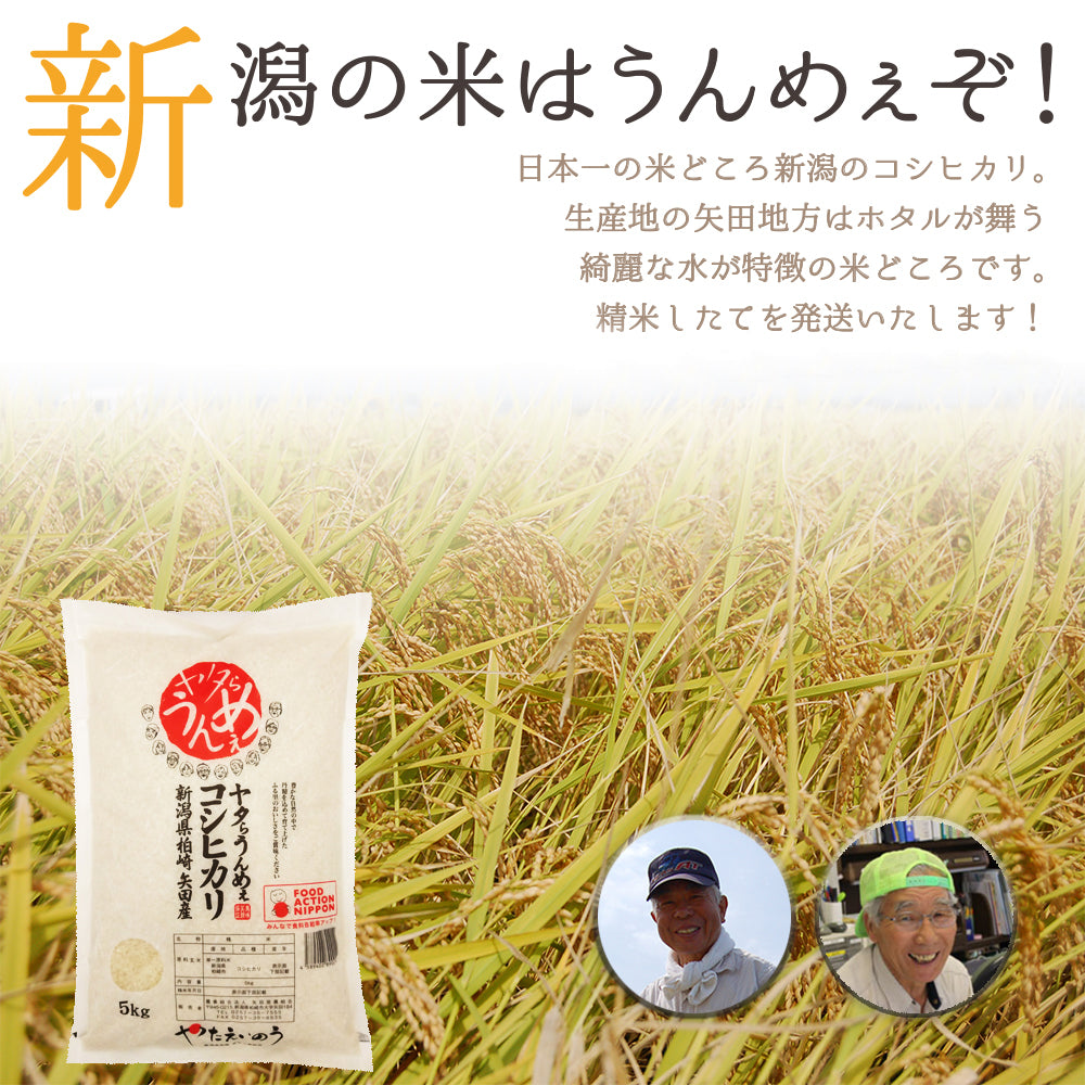令和7年度産 新潟県産コシヒカリ 5kg 大日